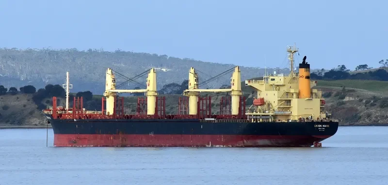 UNION MARK Bulk Carrier IMO 9775153 photo 10
