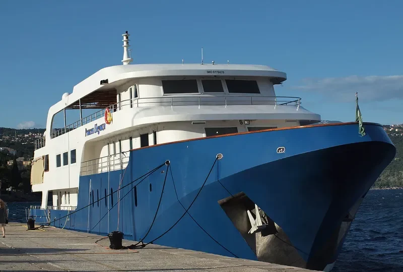 PRINCESS ELEGANZA Passenger Ship IMO 9776676