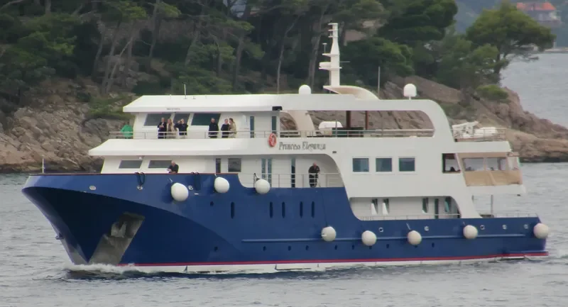 PRINCESS ELEGANZA Passenger Ship IMO 9776676 photo 5
