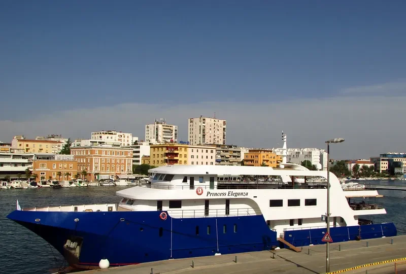 PRINCESS ELEGANZA Passenger Ship IMO 9776676 photo 6