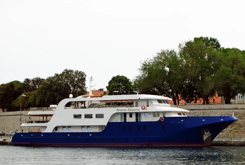 PRINCESS ELEGANZA Passenger Ship IMO 9776676 photo 8