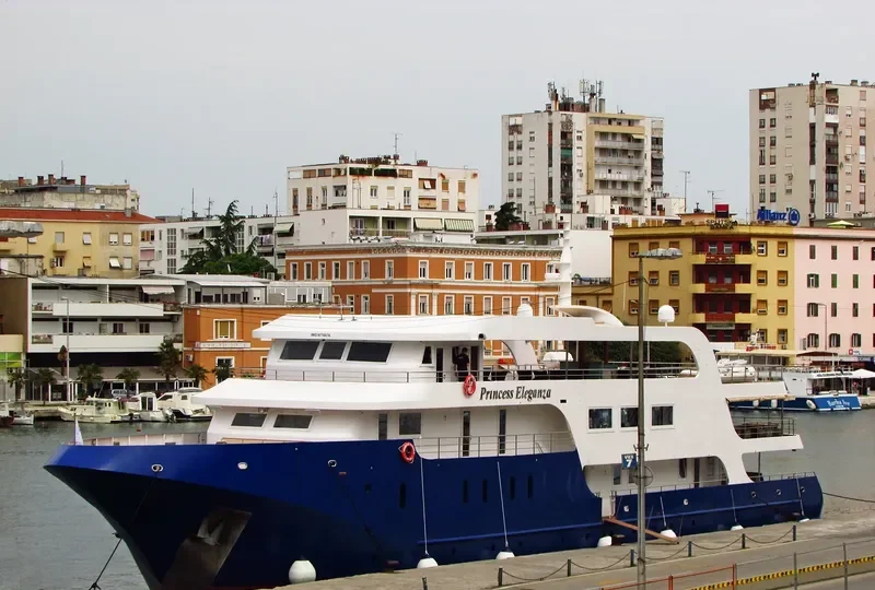 PRINCESS ELEGANZA Passenger Ship IMO 9776676 photo 9