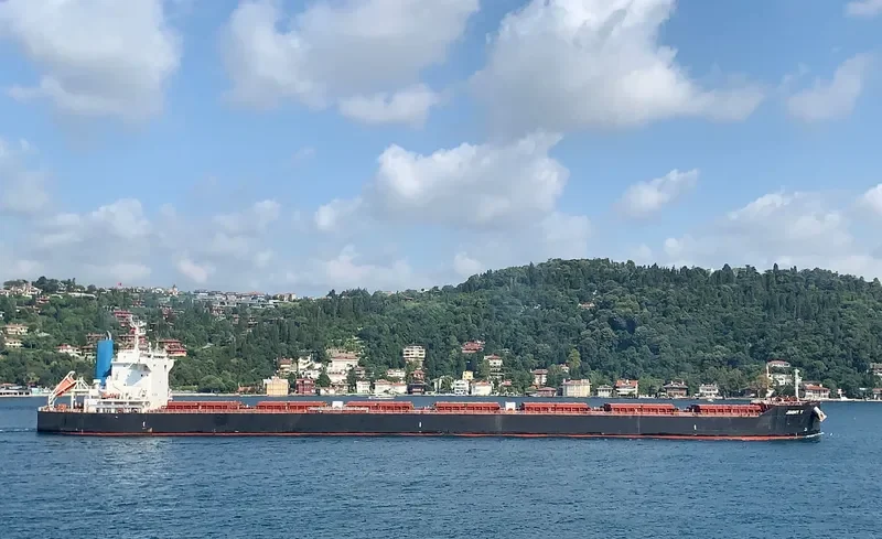 JIMMY T Bulk Carrier IMO 9782118 photo 9