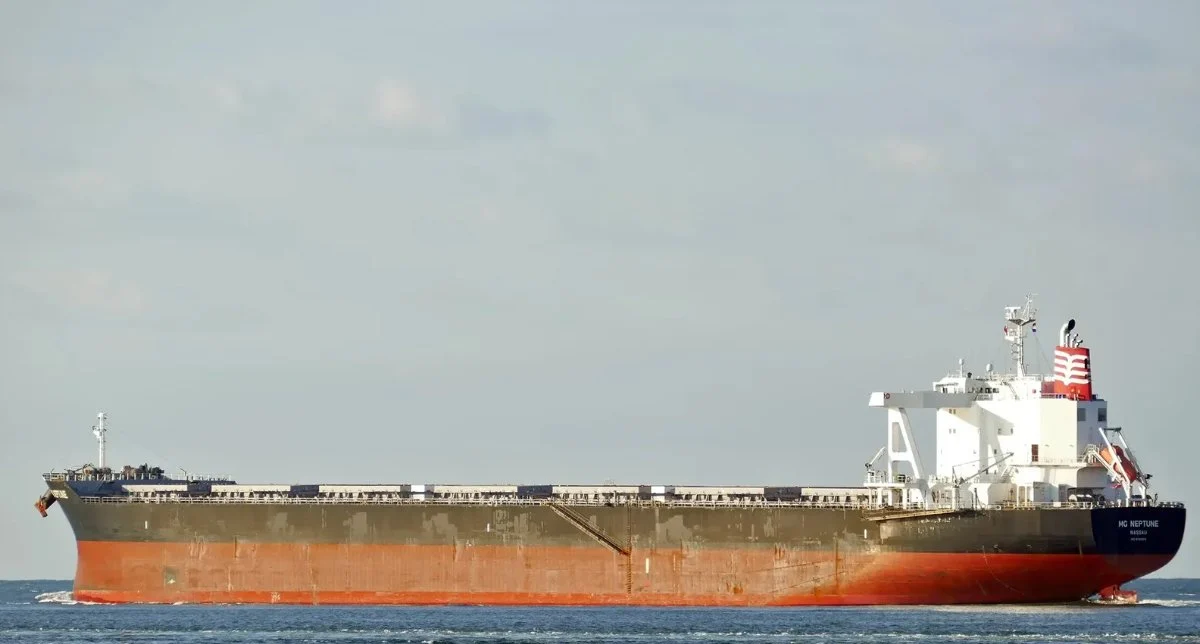 UNITY NEPTUNE Bulk Carrier IMO 9790919 photo 2