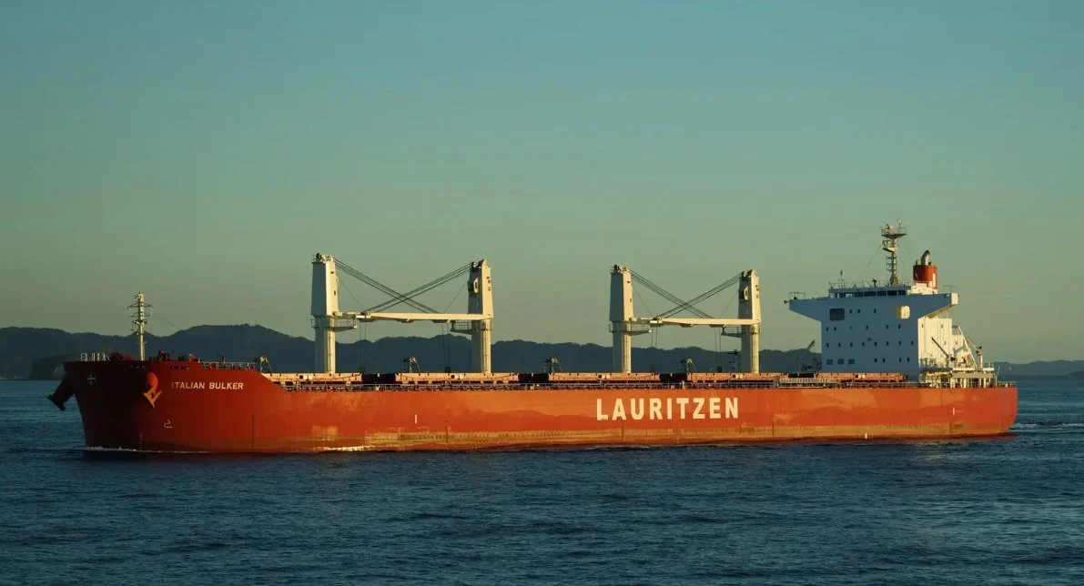 UNITY LIFE Bulk Carrier IMO 9790933