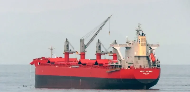 PEARL ISLAND Bulk Carrier IMO 9801720 photo 14