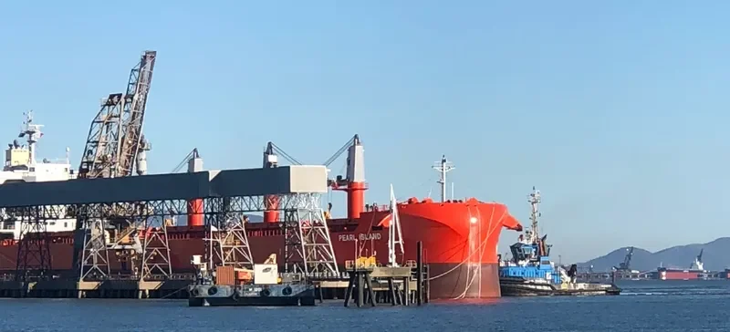 PEARL ISLAND Bulk Carrier IMO 9801720 photo 15