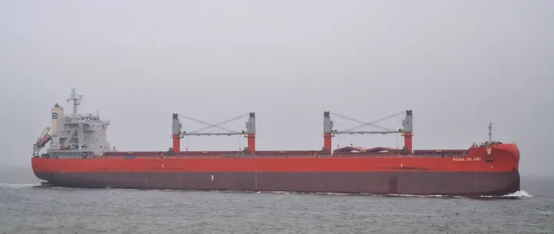 PEARL ISLAND Bulk Carrier IMO 9801720 photo 18