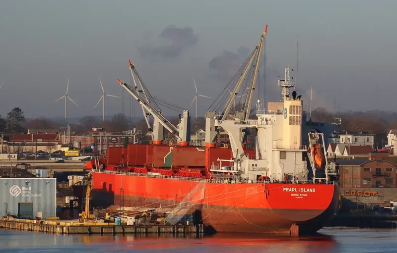 PEARL ISLAND Bulk Carrier IMO 9801720 photo 30