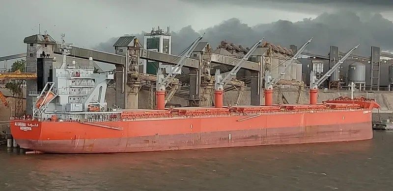 AL KARAMA Bulk Carrier IMO 9801732 photo 11