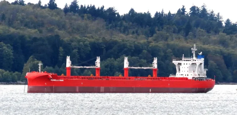 AL KARAMA Bulk Carrier IMO 9801732 photo 54