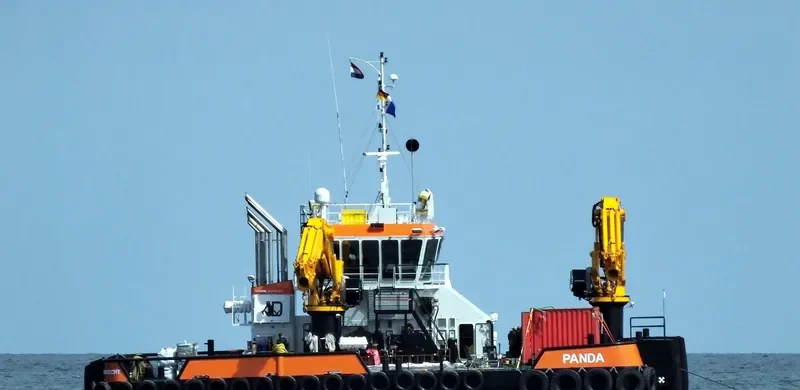 PANDA General Cargo IMO 9807798 photo 8