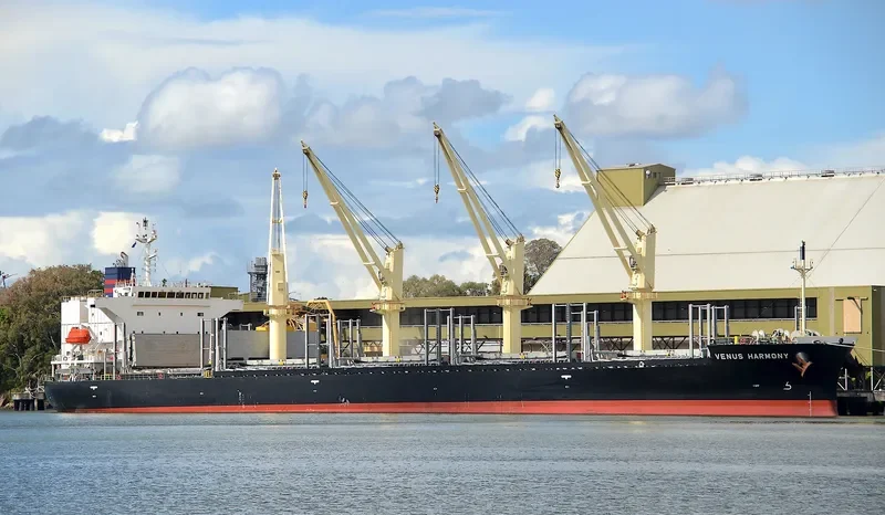 UNITY LIGHT Bulk Carrier IMO 9832444