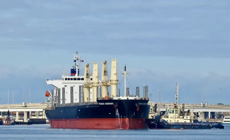 UNITY LIGHT Bulk Carrier IMO 9832444 photo 21