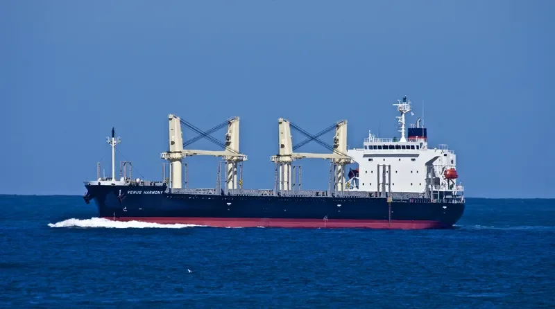UNITY LIGHT Bulk Carrier IMO 9832444 photo 57