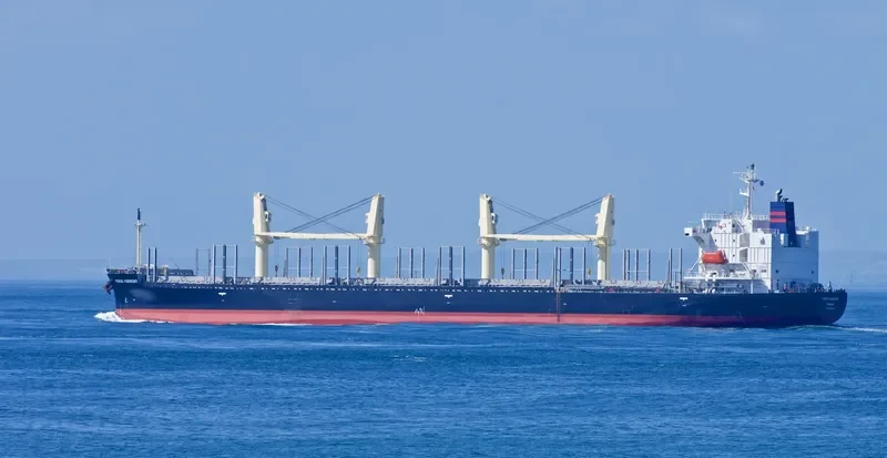 UNITY LIGHT Bulk Carrier IMO 9832444 photo 64