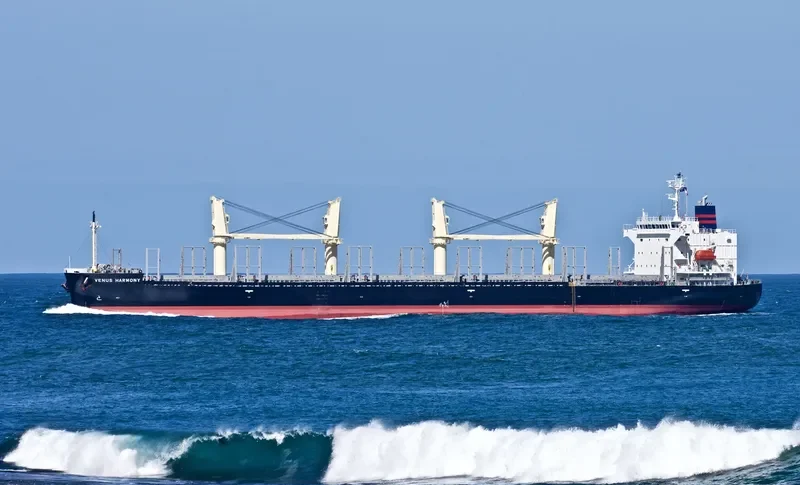 UNITY LIGHT Bulk Carrier IMO 9832444 photo 65
