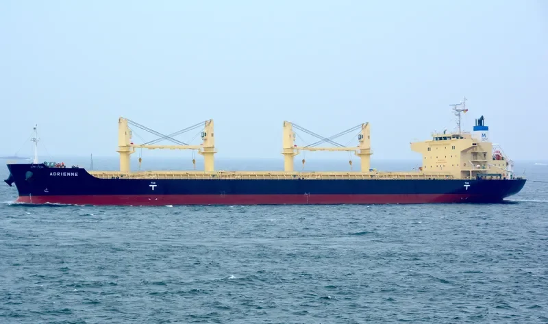 ADRIENNE Bulk Carrier IMO 9832509 photo 8
