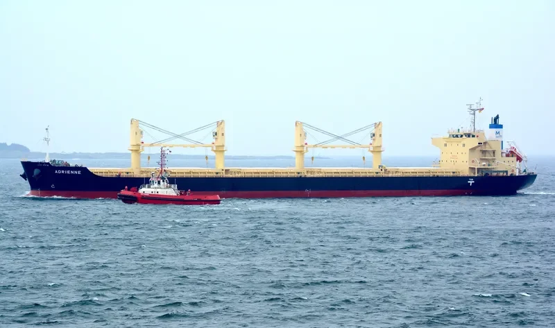 ADRIENNE Bulk Carrier IMO 9832509 photo 33