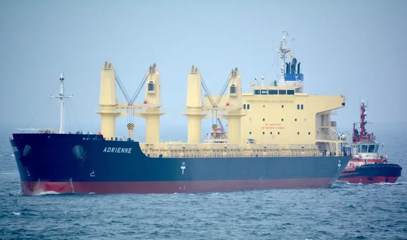 ADRIENNE Bulk Carrier IMO 9832509 photo 38