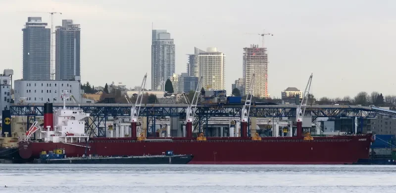 AL WATHBA Bulk Carrier IMO 9852743 photo 2