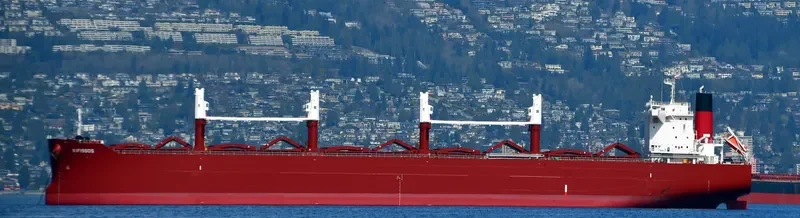 AL WATHBA Bulk Carrier IMO 9852743 photo 11