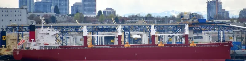 AL WATHBA Bulk Carrier IMO 9852743 photo 22
