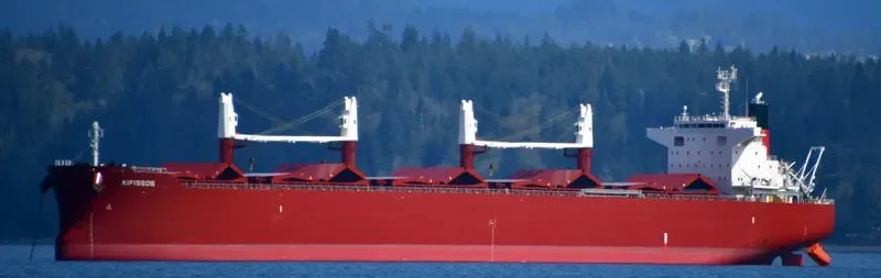 AL WATHBA Bulk Carrier IMO 9852743 photo 29