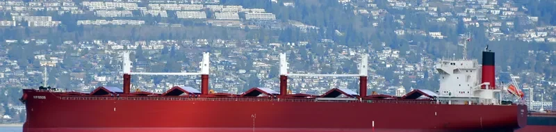 AL WATHBA Bulk Carrier IMO 9852743 photo 32