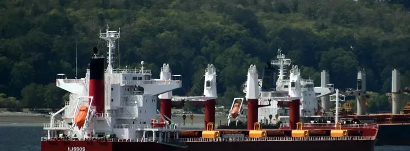 AL DHAFRA Bulk Carrier IMO 9852767