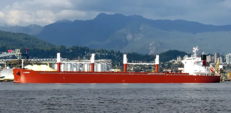 AL DHAFRA Bulk Carrier IMO 9852767 photo 8
