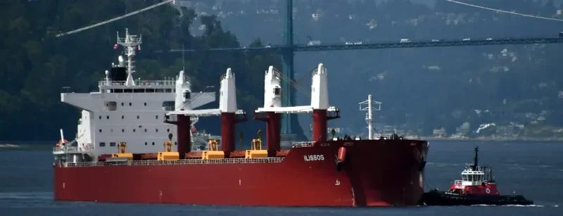 AL DHAFRA Bulk Carrier IMO 9852767 photo 15
