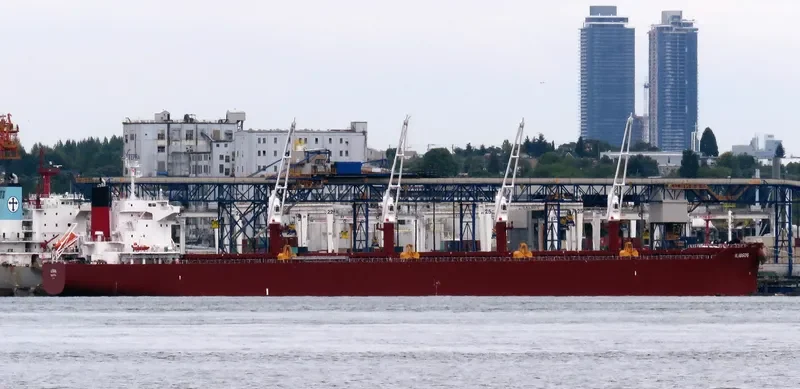 AL DHAFRA Bulk Carrier IMO 9852767 photo 42