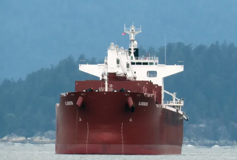 AL DHAFRA Bulk Carrier IMO 9852767 photo 44