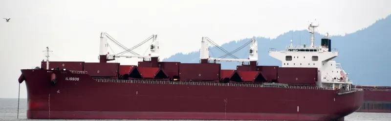 AL DHAFRA Bulk Carrier IMO 9852767 photo 64